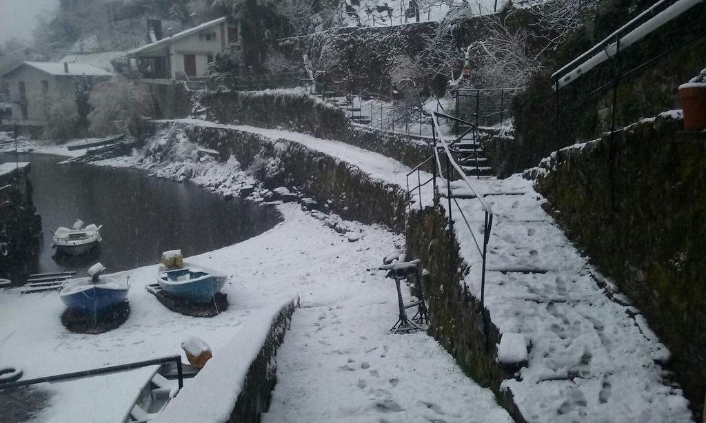 Tra Lago E Montagna Baita La Morena Nesso Luaran gambar