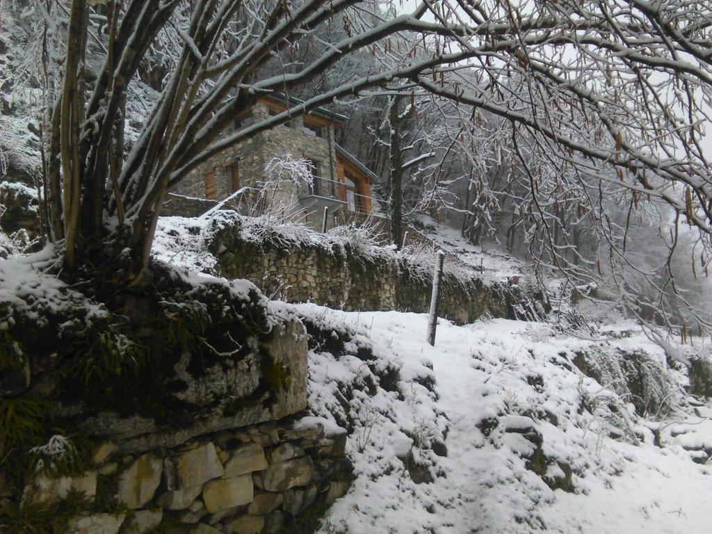 Tra Lago E Montagna Baita La Morena Nesso Luaran gambar