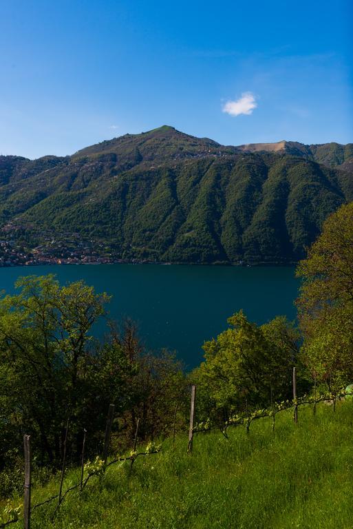 Tra Lago E Montagna Baita La Morena Nesso Luaran gambar
