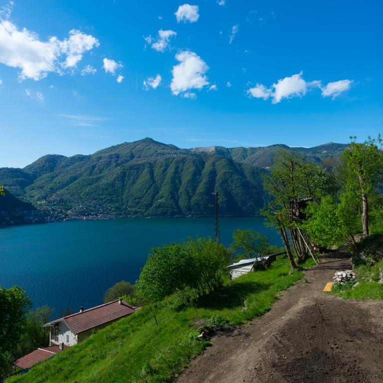 Tra Lago E Montagna Baita La Morena Nesso Luaran gambar